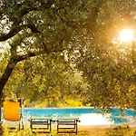 Studio-apartment Mit Sommerpool- Garten Und Aussicht By Interhome